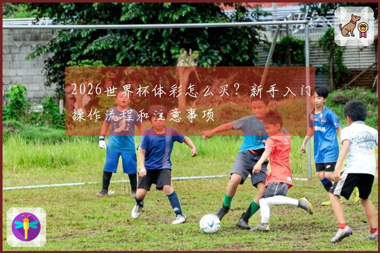 2026世界杯体彩怎么买？新手入门操作流程和注意事项