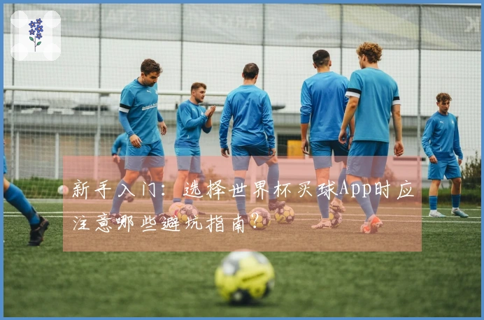 新手入门：选择世界杯买球App时应注意哪些避坑指南？