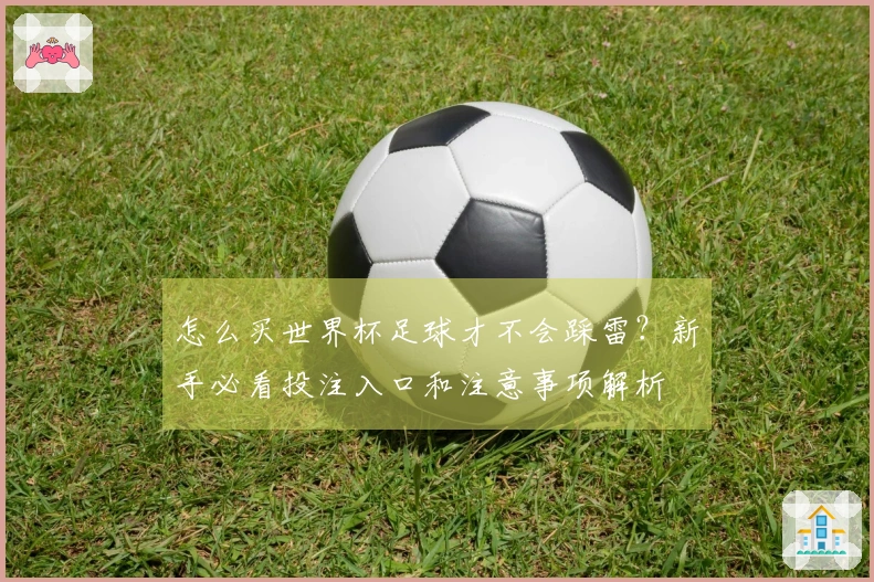 怎么买世界杯足球才不会踩雷？新手必看投注入口和注意事项解析