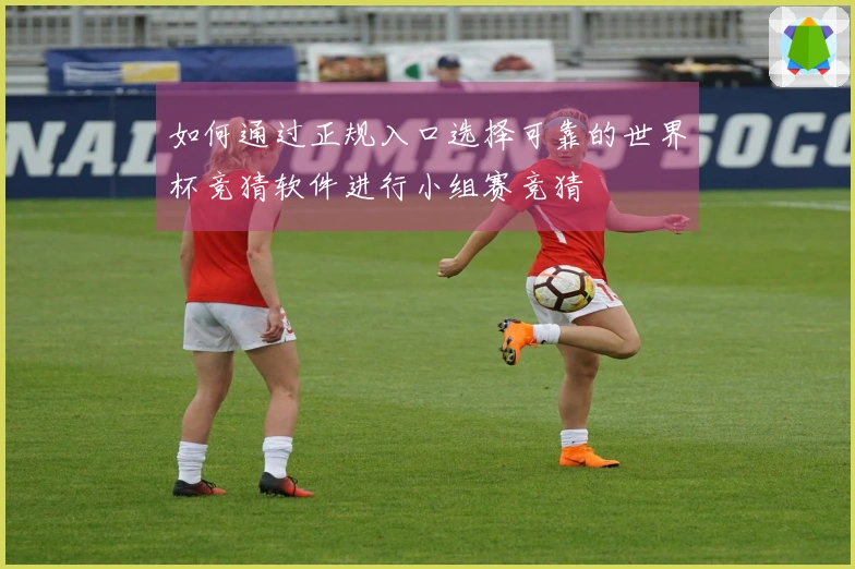 如何通过正规入口选择可靠的世界杯竞猜软件进行小组赛竞猜