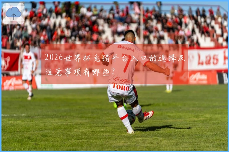 2026世界杯竞猜平台入口的选择及注意事项有哪些？