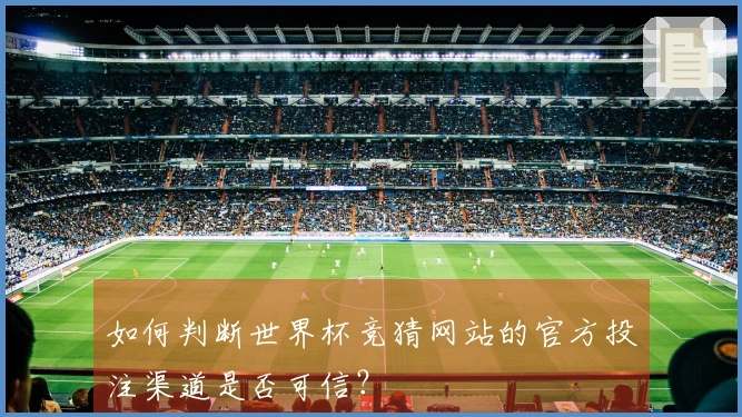 如何判断世界杯竞猜网站的官方投注渠道是否可信？