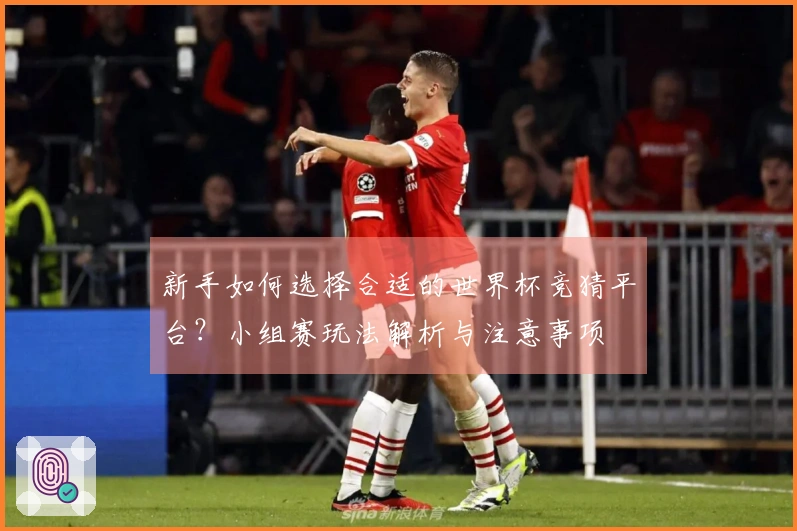 新手如何选择合适的世界杯竞猜平台？小组赛玩法解析与注意事项