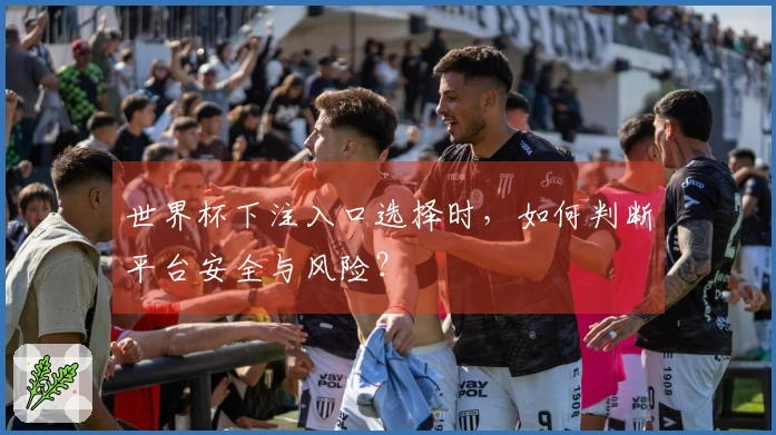 世界杯下注入口选择时，如何判断平台安全与风险？