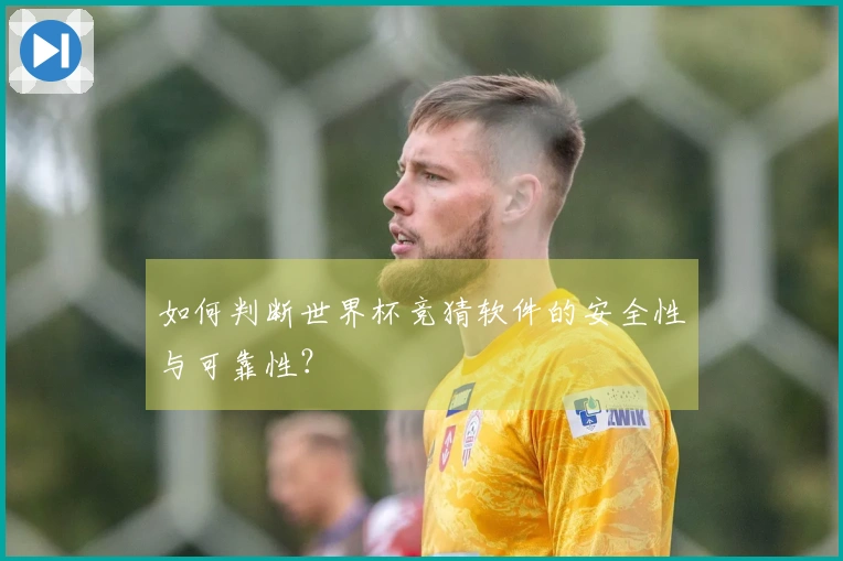 如何判断世界杯竞猜软件的安全性与可靠性？