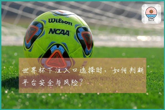 世界杯下注入口选择时，如何判断平台安全与风险？