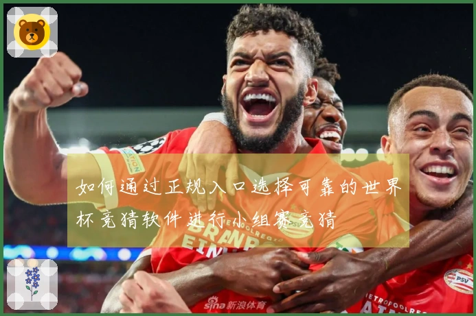 如何通过正规入口选择可靠的世界杯竞猜软件进行小组赛竞猜